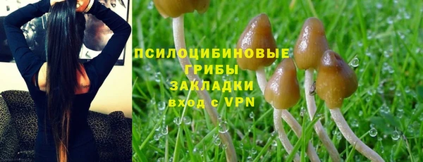 прущая мука Армянск