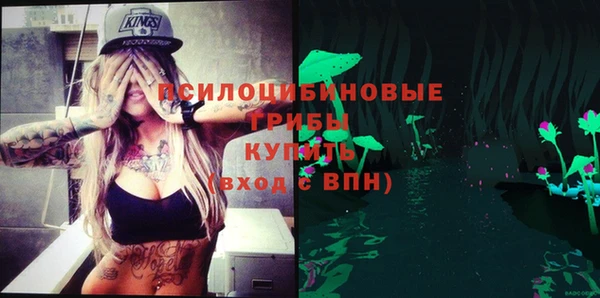 прущая мука Армянск
